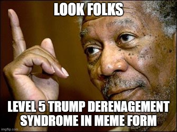 This Morgan Freeman | LOOK FOLKS LEVEL 5 TRUMP DERENAGEMENT SYNDROME IN MEME FORM | image tagged in this morgan freeman | made w/ Imgflip meme maker