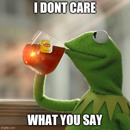 But That's None Of My Business Meme | I DONT CARE WHAT YOU SAY | image tagged in memes,but that's none of my business,kermit the frog | made w/ Imgflip meme maker