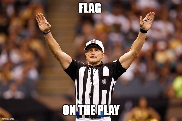 Logical Fallacy Referee NFL #85 | FLAG ON THE PLAY | image tagged in logical fallacy referee nfl 85 | made w/ Imgflip meme maker