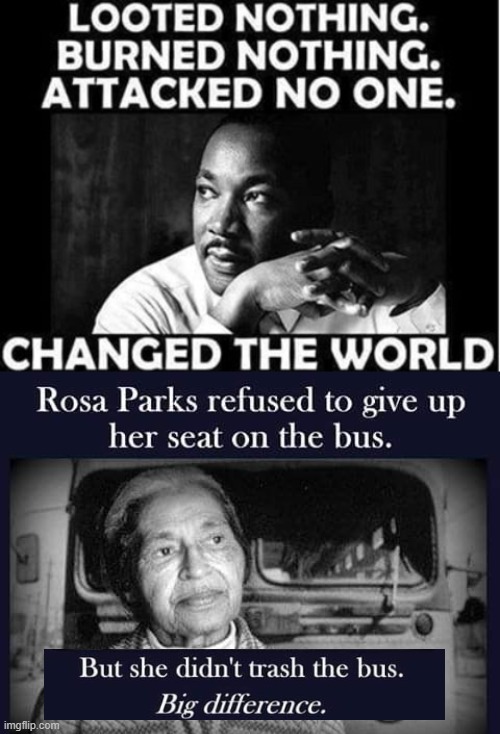 Changed The World! | image tagged in mlk,rosa parks | made w/ Imgflip meme maker