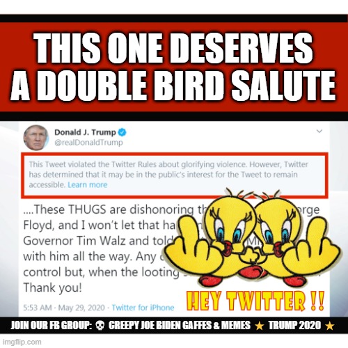 This one deserves a double bird salute !! | THIS ONE DESERVES A DOUBLE BIRD SALUTE; JOIN OUR FB GROUP: 💀 CREEPY JOE BIDEN GAFFES & MEMES ⭐ TRUMP 2020 ⭐ | image tagged in censorship,trump 2020,twitter,twitter birds says | made w/ Imgflip meme maker