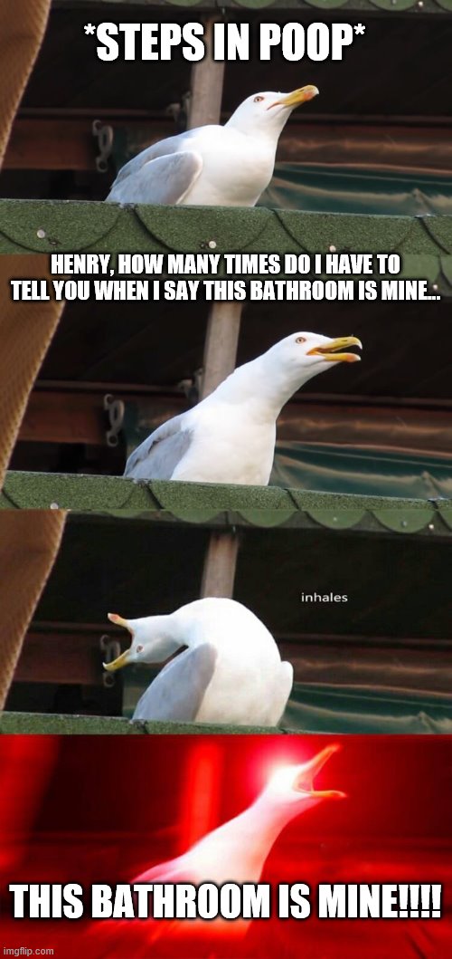 This is my bathroom! | *STEPS IN POOP*; HENRY, HOW MANY TIMES DO I HAVE TO TELL YOU WHEN I SAY THIS BATHROOM IS MINE... THIS BATHROOM IS MINE!!!! | image tagged in inhaling seagull 4 red | made w/ Imgflip meme maker