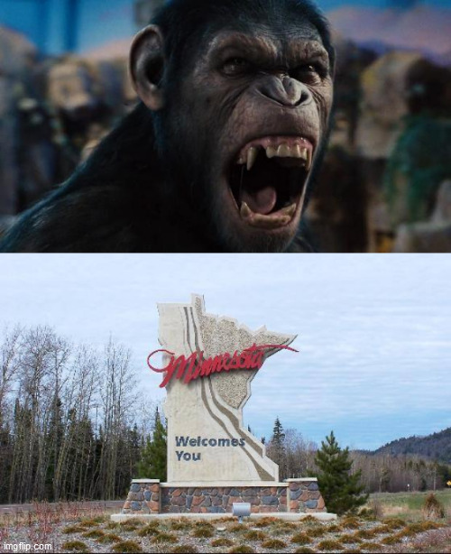 image tagged in caeser rise of the planet of the apes,minnesota | made w/ Imgflip meme maker
