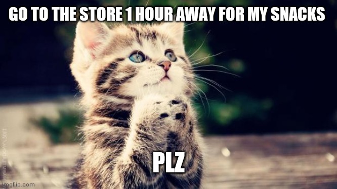 Praying cat | GO TO THE STORE 1 HOUR AWAY FOR MY SNACKS; PLZ | image tagged in praying cat | made w/ Imgflip meme maker