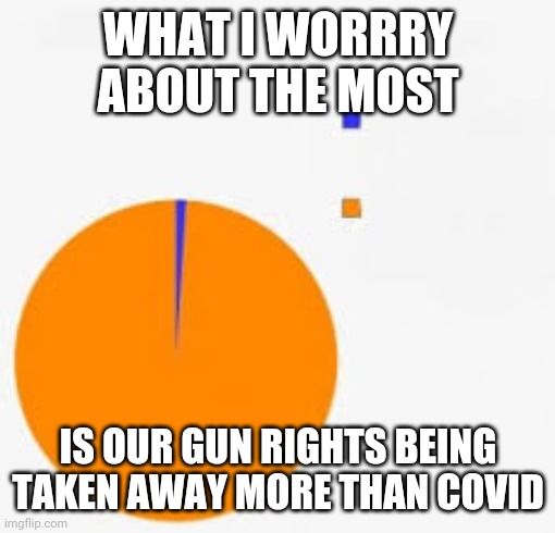 Pie Chart Meme | WHAT I WORRRY ABOUT THE MOST IS OUR GUN RIGHTS BEING TAKEN AWAY MORE THAN COVID | image tagged in pie chart meme | made w/ Imgflip meme maker
