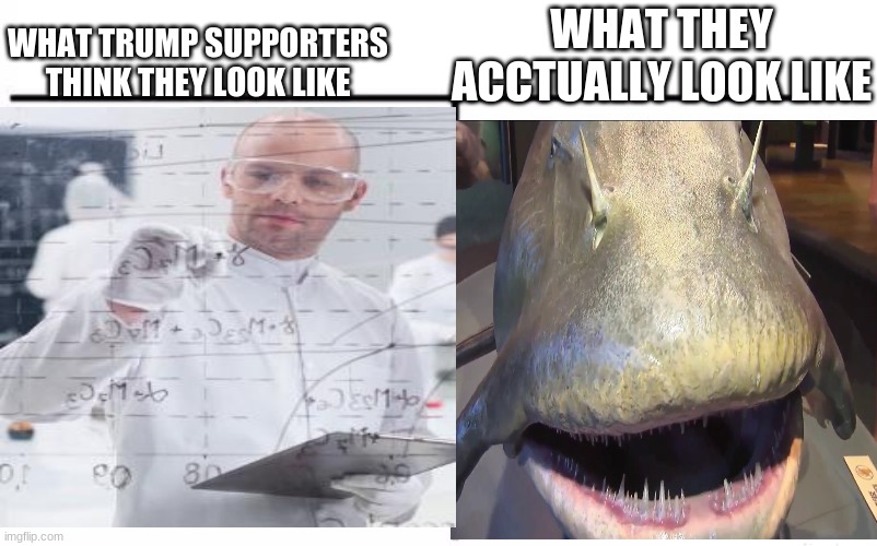 it's true | WHAT THEY ACCTUALLY LOOK LIKE; WHAT TRUMP SUPPORTERS THINK THEY LOOK LIKE | image tagged in derp,catfish,trump,2020,election 2020,trump supporters | made w/ Imgflip meme maker