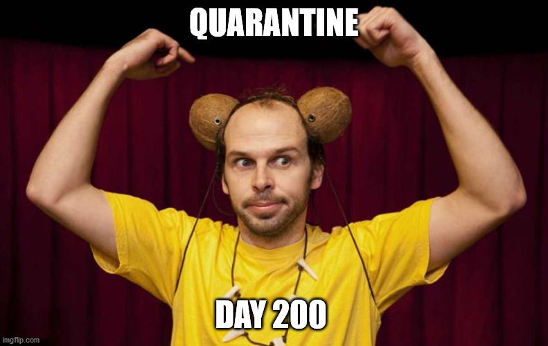 Quarantine | QUARANTINE; DAY 200 | image tagged in quarantine,covid-19,coronavirus,caveman,funny memes | made w/ Imgflip meme maker