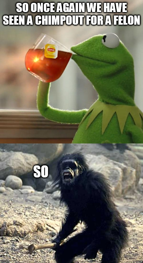 SO ONCE AGAIN WE HAVE SEEN A CHIMPOUT FOR A FELON; SO | image tagged in memes,but that's none of my business,2001 apes | made w/ Imgflip meme maker