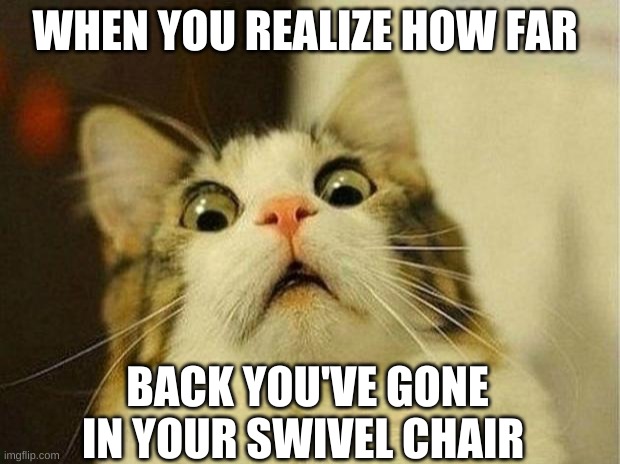 Scared Cat | WHEN YOU REALIZE HOW FAR; BACK YOU'VE GONE IN YOUR SWIVEL CHAIR | image tagged in memes,scared cat | made w/ Imgflip meme maker