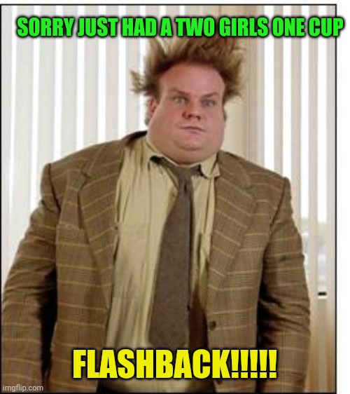 Two girls WTF!!!!!! | SORRY JUST HAD A TWO GIRLS ONE CUP; FLASHBACK!!!!! | image tagged in chris farley hair,two girls one cup,2000's | made w/ Imgflip meme maker