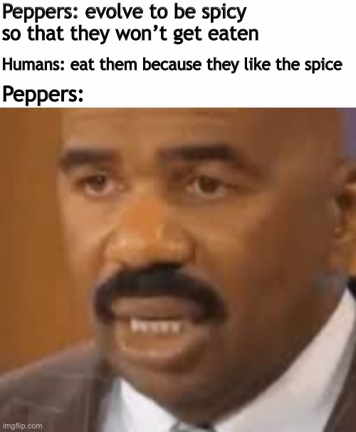 Delicious spicy peppers |  Peppers: evolve to be spicy so that they won’t get eaten; Humans: eat them because they like the spice; Peppers: | image tagged in memes,funny,peppers,spicy,steve harvey | made w/ Imgflip meme maker