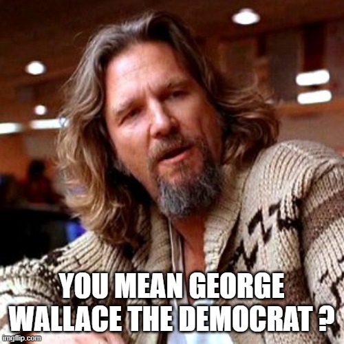 Confused Lebowski Meme | YOU MEAN GEORGE WALLACE THE DEMOCRAT ? | image tagged in memes,confused lebowski | made w/ Imgflip meme maker