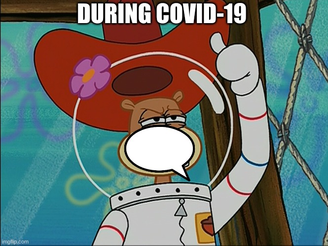 Sandy Cheeks | DURING COVID-19 | image tagged in sandy cheeks | made w/ Imgflip meme maker