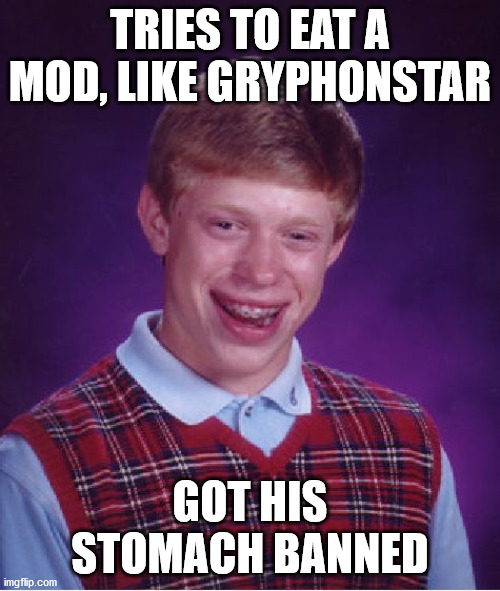 See what you've done, Gryphonstar! | TRIES TO EAT A MOD, LIKE GRYPHONSTAR; GOT HIS STOMACH BANNED | image tagged in memes,bad luck brian | made w/ Imgflip meme maker