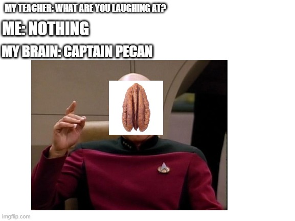 captain pecan | MY TEACHER: WHAT ARE YOU LAUGHING AT? ME: NOTHING; MY BRAIN: CAPTAIN PECAN | image tagged in picard | made w/ Imgflip meme maker
