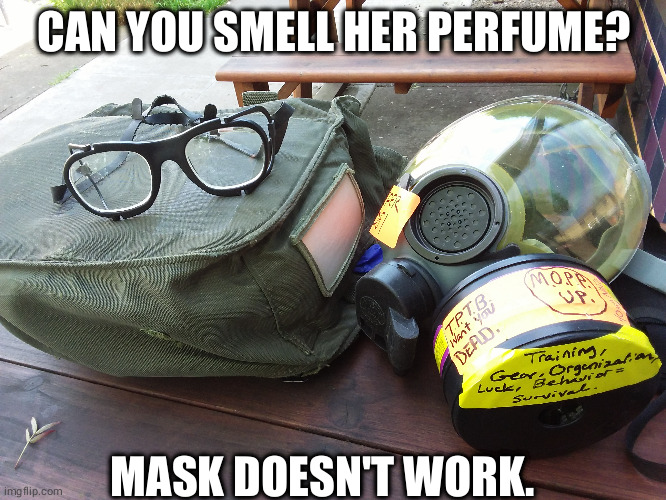 CAN YOU SMELL HER PERFUME? MASK DOESN'T WORK. | made w/ Imgflip meme maker