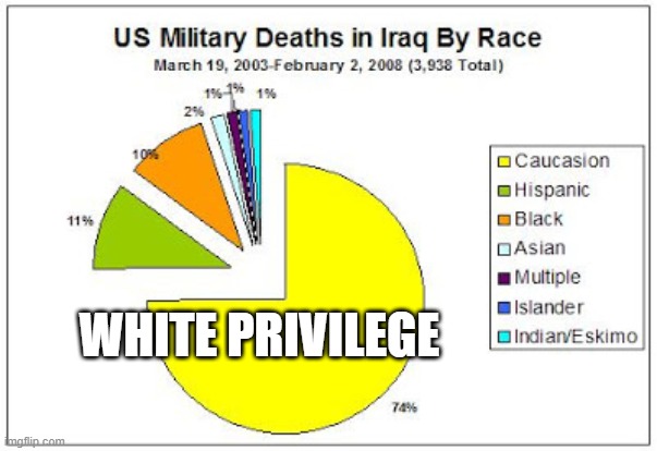 WHITE PRIVILEGE | image tagged in white privilege,democrats,republicans,pie charts | made w/ Imgflip meme maker
