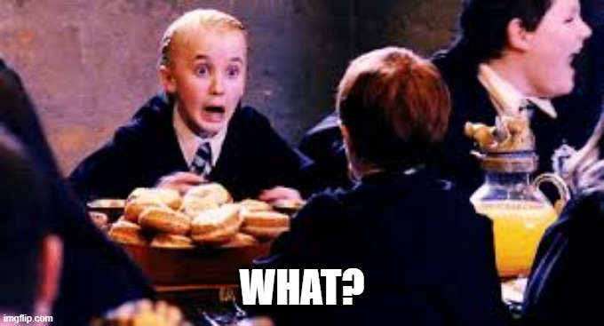 Malfoy Screaming | WHAT? | image tagged in malfoy screaming | made w/ Imgflip meme maker