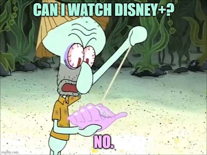 Squidward Wants to Watch Disney+ | CAN I WATCH DISNEY+? NO. | image tagged in squidward conch shell,disney plus | made w/ Imgflip meme maker
