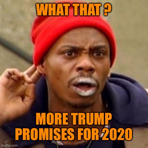 WHAT THAT ? MORE TRUMP PROMISES FOR 2020 | made w/ Imgflip meme maker