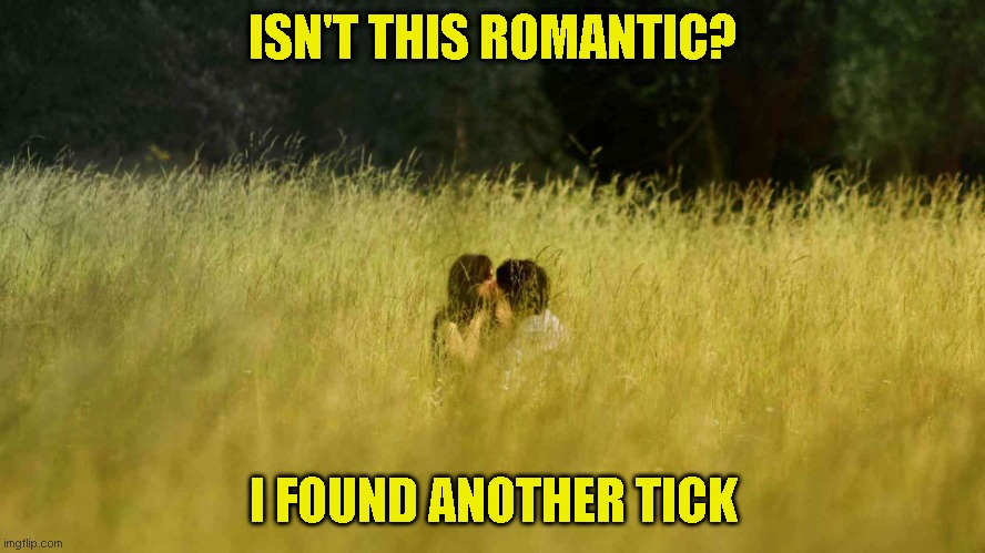 Practice safe sex - Stay indoors | ISN'T THIS ROMANTIC? I FOUND ANOTHER TICK | image tagged in just a joke,but lock the dogs out | made w/ Imgflip meme maker