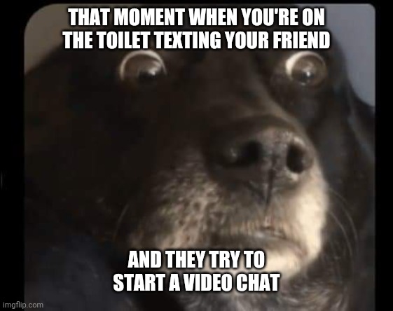 I hate to say it, but this is me. ? | THAT MOMENT WHEN YOU'RE ON THE TOILET TEXTING YOUR FRIEND; AND THEY TRY TO START A VIDEO CHAT | image tagged in relatable,bff,toilet humor | made w/ Imgflip meme maker
