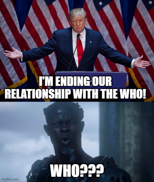 No More World Health Org I Guess | I'M ENDING OUR RELATIONSHIP WITH THE WHO! WHO??? | image tagged in donald trump,guardians of the galaxy who | made w/ Imgflip meme maker