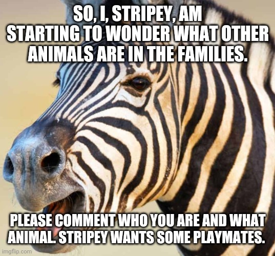 Happy Zebra | SO, I, STRIPEY, AM STARTING TO WONDER WHAT OTHER ANIMALS ARE IN THE FAMILIES. PLEASE COMMENT WHO YOU ARE AND WHAT ANIMAL. STRIPEY WANTS SOME PLAYMATES. | image tagged in happy zebra | made w/ Imgflip meme maker