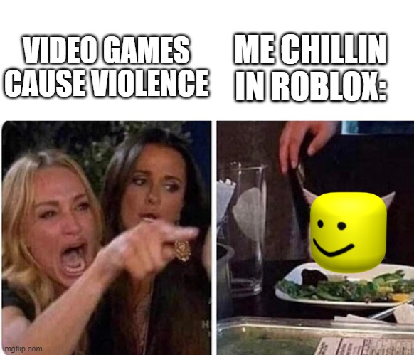 Lady screams at cat | ME CHILLIN IN ROBLOX:; VIDEO GAMES CAUSE VIOLENCE | image tagged in lady screams at cat | made w/ Imgflip meme maker