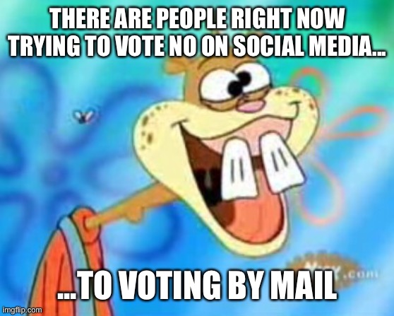 Vote by mail | THERE ARE PEOPLE RIGHT NOW TRYING TO VOTE NO ON SOCIAL MEDIA... ...TO VOTING BY MAIL | image tagged in sandy cheeks duhh | made w/ Imgflip meme maker