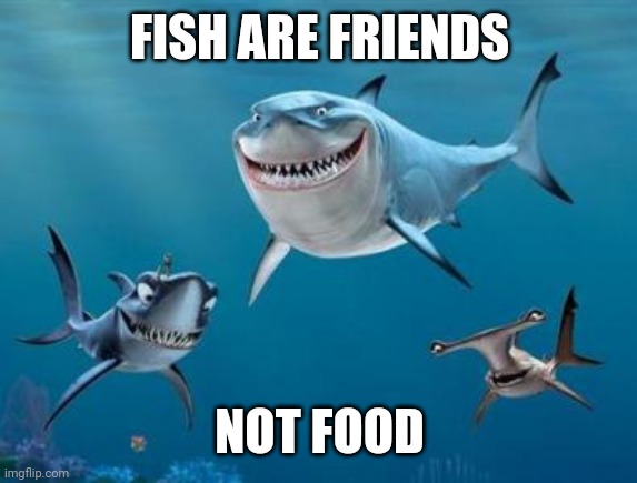 Nemo sharks | FISH ARE FRIENDS NOT FOOD | image tagged in nemo sharks | made w/ Imgflip meme maker