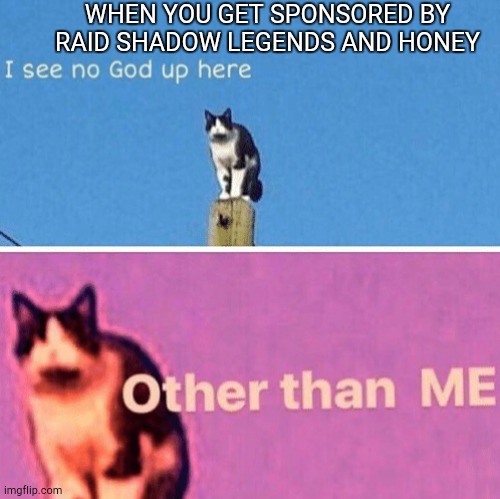 Sponsor me Raid | WHEN YOU GET SPONSORED BY RAID SHADOW LEGENDS AND HONEY | image tagged in hail pole cat | made w/ Imgflip meme maker