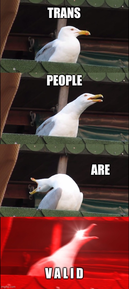 Inhaling Seagull Meme | TRANS; PEOPLE; ARE; V A L I D | image tagged in memes,inhaling seagull | made w/ Imgflip meme maker