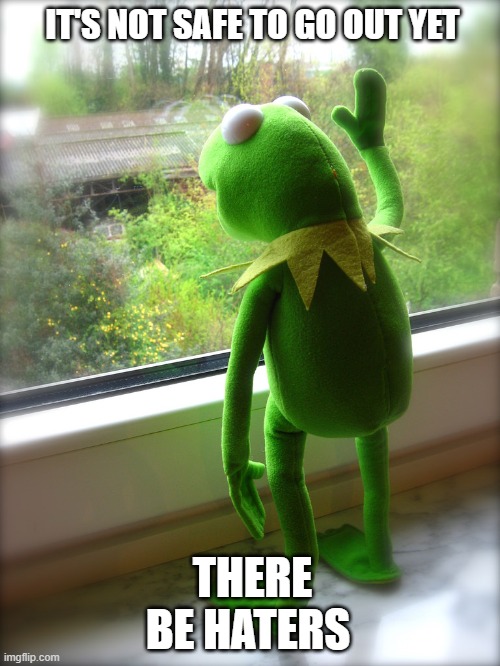 Kermit - Out the window - waiting | IT'S NOT SAFE TO GO OUT YET; THERE BE HATERS | image tagged in kermit - out the window - waiting,memes | made w/ Imgflip meme maker