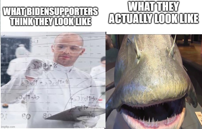 WHAT BIDENSUPPORTERS THINK THEY LOOK LIKE WHAT THEY ACTUALLY LOOK LIKE | made w/ Imgflip meme maker