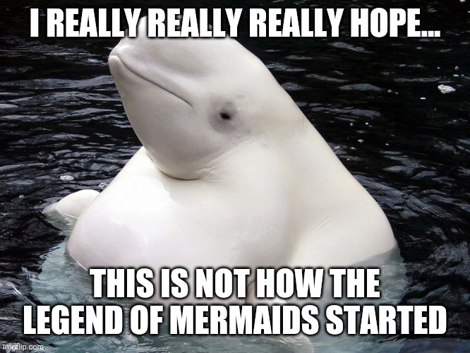 Mermaids...or not | I REALLY REALLY REALLY HOPE... THIS IS NOT HOW THE LEGEND OF MERMAIDS STARTED | image tagged in fat whale,mermaid | made w/ Imgflip meme maker