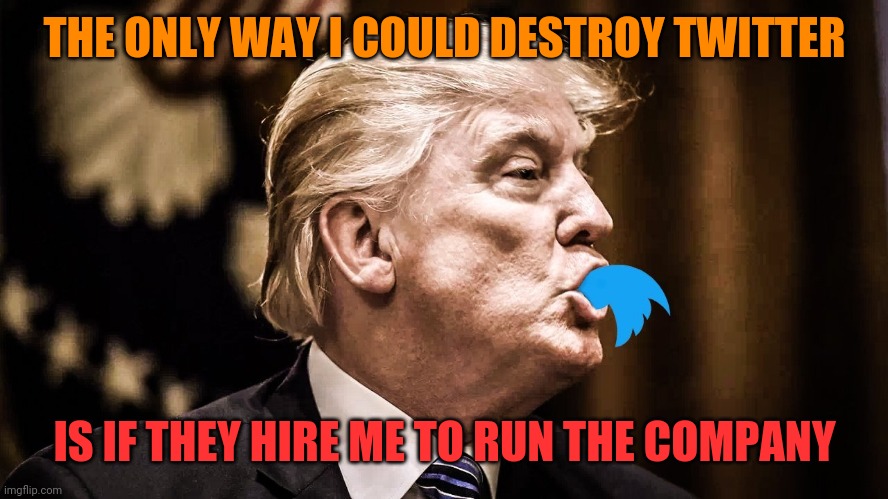 Trump Twitter | THE ONLY WAY I COULD DESTROY TWITTER; IS IF THEY HIRE ME TO RUN THE COMPANY | image tagged in trump twitter | made w/ Imgflip meme maker