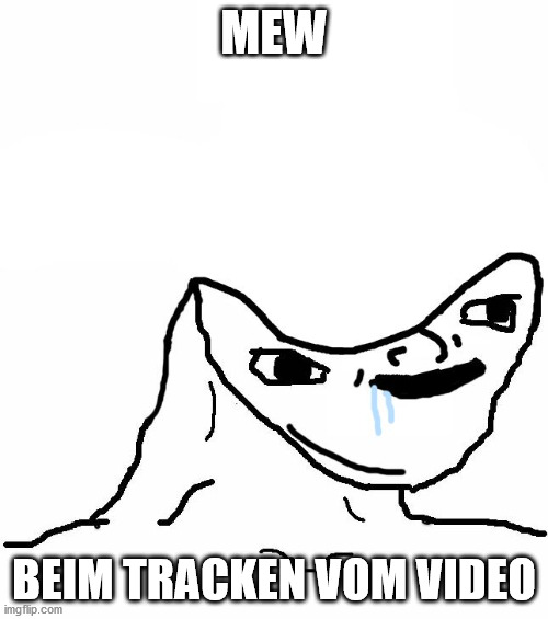 Retard wojak | MEW; BEIM TRACKEN VOM VIDEO | image tagged in retard wojak | made w/ Imgflip meme maker