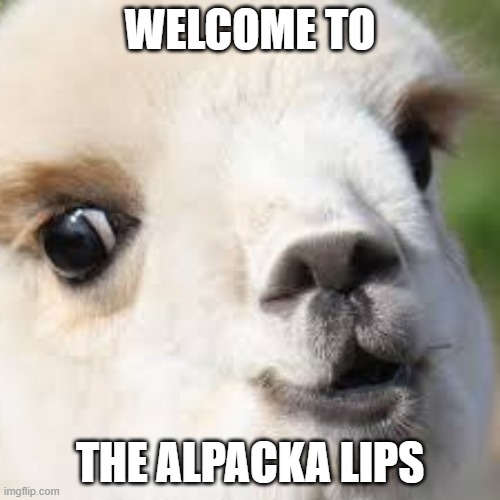 alpackalips | WELCOME TO; THE ALPACKA LIPS | image tagged in fun | made w/ Imgflip meme maker