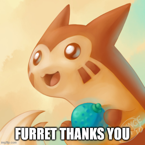 FURRET THANKS YOU | made w/ Imgflip meme maker