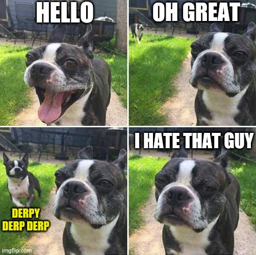 HIM AGAIN | HELLO; OH GREAT; I HATE THAT GUY; DERPY DERP DERP | image tagged in dogs,dog | made w/ Imgflip meme maker