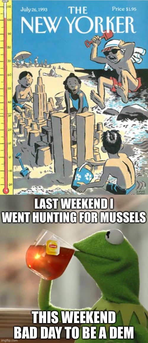 maga | LAST WEEKEND I WENT HUNTING FOR MUSSELS; THIS WEEKEND BAD DAY TO BE A DEM | image tagged in but that's none of my business,new yorker sand castle,maga,purge,the purge,muslims | made w/ Imgflip meme maker