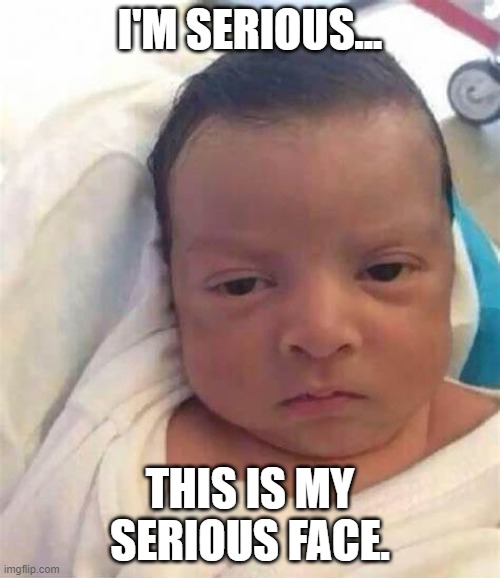 I'm serious | I'M SERIOUS... THIS IS MY SERIOUS FACE. | image tagged in funny | made w/ Imgflip meme maker