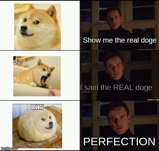 show me the real | Show me the real doge; I said the REAL doge; PERFECTION | image tagged in show me the real,cleanmemes | made w/ Imgflip meme maker