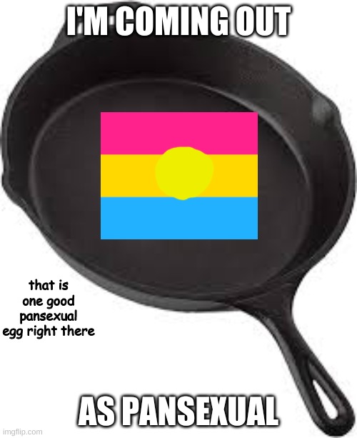 Pansexuals will understand | I'M COMING OUT; that is one good pansexual egg right there; AS PANSEXUAL | image tagged in pansexuals will understand | made w/ Imgflip meme maker