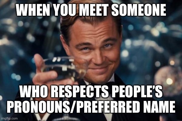 Leonardo Dicaprio Cheers | WHEN YOU MEET SOMEONE; WHO RESPECTS PEOPLE’S PRONOUNS/PREFERRED NAME | image tagged in memes,leonardo dicaprio cheers | made w/ Imgflip meme maker