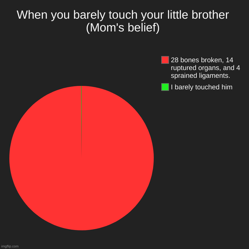 When you barely touch your little brother (Mom's belief) | I barely touched him, 28 bones broken, 14 ruptured organs, and 4 sprained ligamen | image tagged in charts,pie charts | made w/ Imgflip chart maker
