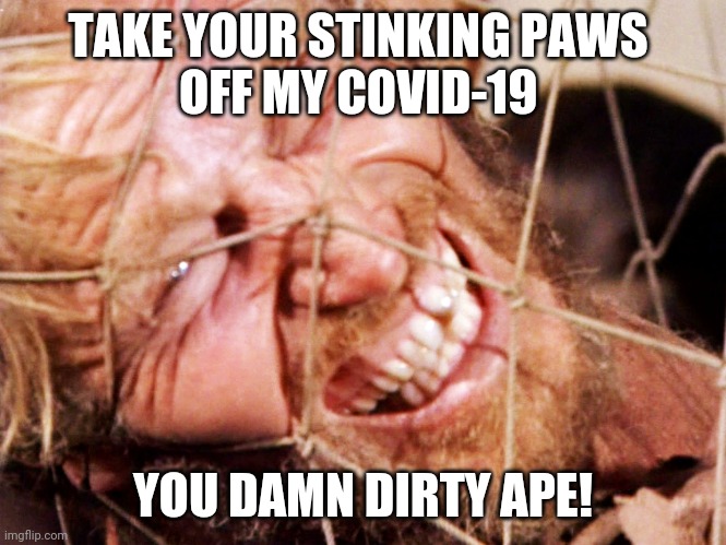 Going Ape for Corona | TAKE YOUR STINKING PAWS 
OFF MY COVID-19; YOU DAMN DIRTY APE! | image tagged in charlton heston,memes,covid-19,2020,coronavirus,ape shit | made w/ Imgflip meme maker