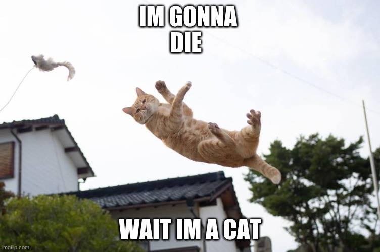 Cat falling | IM GONNA 
DIE; WAIT IM A CAT | image tagged in cat falling | made w/ Imgflip meme maker