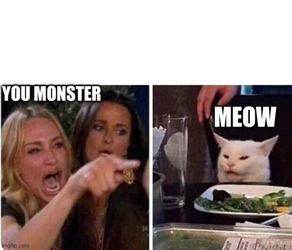 Lady screams at cat | YOU MONSTER; MEOW | image tagged in lady screams at cat | made w/ Imgflip meme maker